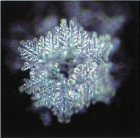 Quantenphysikalische Studie Wasserkristallbilder Eine weitere Studie, welche nach den neusten Erkenntnissen aus der Quantenphysik durch den Physiker Dr.