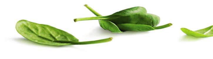 Spargeln grün Nº 1616.901 5 x 1.0 kg Spargeln weiss Nº 1616.736 5 x 1.0 kg Unser Spinat: 100% einheimisch, erntefrisch und handverlesen. Frischer und erstklassiger geht's nicht.