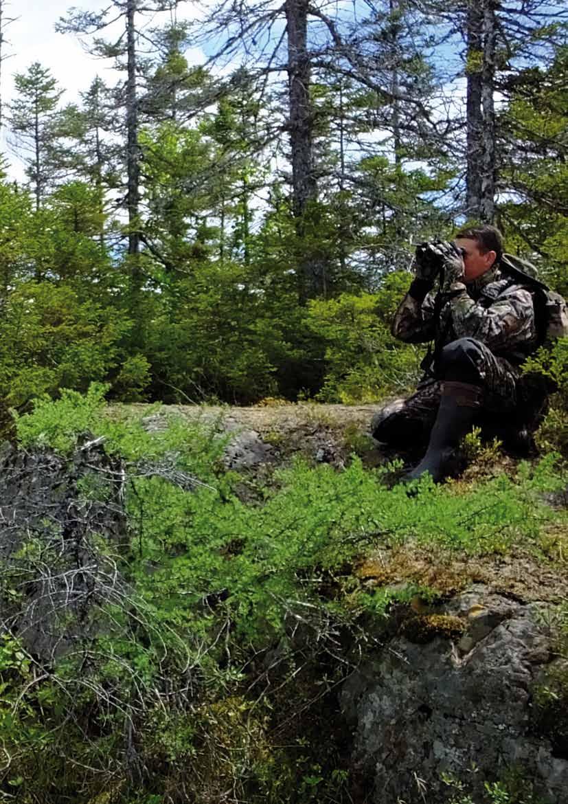 Nordamerika, Kanada und Skandinavien Kaliberempfehlungen Die Jagd im