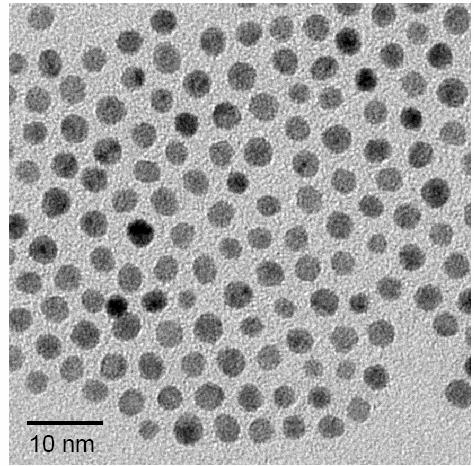 4.5 Magnetische Eigenschaften 4.5.1 Ni 31 Pt 69 -Nanopartikel Zunächst wurden sphärische Ni 31 Pt 69 -Nanopartikel mit einer mittleren Größe von 3,4 nm und einer Standardabweichung von 12 % untersucht (Abb.