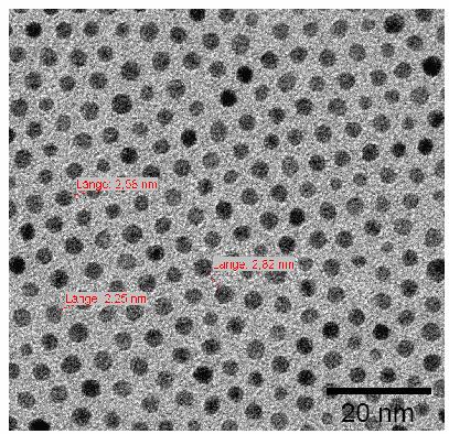 4 Ergebnisse und Diskussion Die Ni 31 Pt 69 -Nanopartikel neigen dazu, sich auf einem Träger hexagonal anzuordnen. Der Abstand zwischen den Partikeln variiert und beträgt zwischen 2,2 und 2,8 nm.