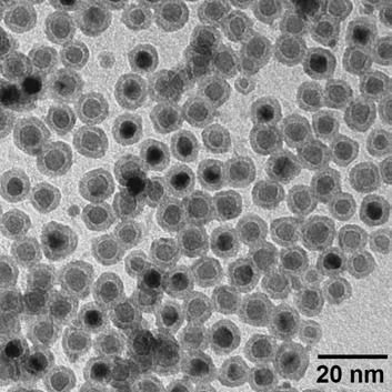 4 Ergebnisse und Diskussion Da die Nanopartikel mit steigender Nickelmenge wachsen, kann man vermuten, dass die Nukleationskeime hauptsächlich aus Platin bestehen.
