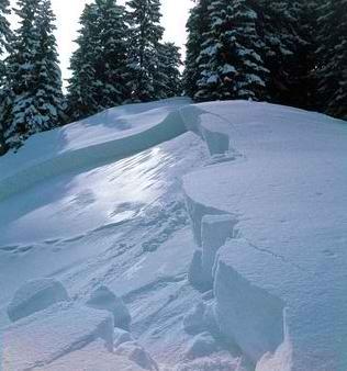 TRIEBSCHNEE - Wind ist der