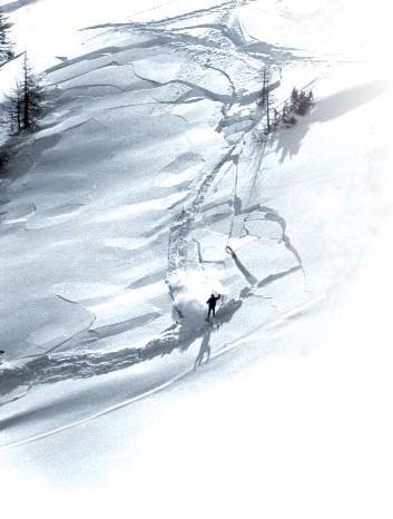 Die typische Skifahrerlawine Größe: Anrißhöhe: 50 m breit, 150 m lang 45-50 cm Hangneigung: 38-39 Exposition: 75 % Schattenhänge (NW O)