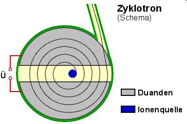 Das Zyklotron Ein homogenes Magnetfeld zwingt die geladenen Teilchen auf eine Kreisbahn.