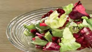 2 USA-Salat Mischsalat Feinsalat nur Blattsalate täglich andere