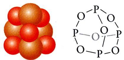 Das 4 10-Molekül leitet sich vom 4 6-Molekül dadurch ab, das an jedes -Atom mittels seines freien Elektronenpaares ein ( terminales ) -Atom angelagert wird, dass damit über eine Doppelbindung {neben
