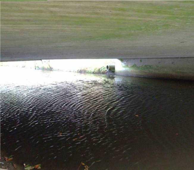 Auch derartig weit überspannende Brücken mögen den Otter vom Queren im Wasser abhalten.