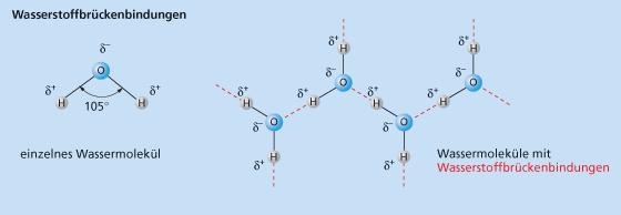 Wasserstoffbrückenbindungen Chemische Bindungen Intermolekulare Bindungen Die Grundlage der Wasserstoffbrückenbindungen ist die starke