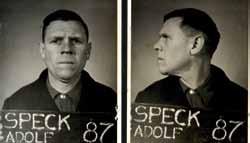 Er war von Beruf Einzelhandelskaufmann. 1930 trat er in die NSDAP und 1932 in die SS ein. Pauly wurde am 3. Mai 1946 im ersten Curio-Haus-Prozess zum Tode verurteilt und am 8.
