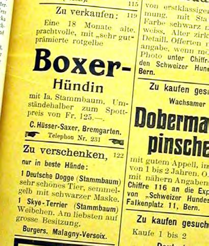 Die Boxerteuerung betrug somit in den vergangenen 80 Jahren runde 1 760 % Werbung gehörte schon 1926 zum Geschäft, gelbe Seiten auch, wie das Bild zeigt.
