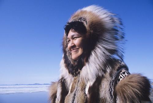 Die Arktis Bevölkerung In der Arktis leben gegenwärtig insgesamt etwa vier Million Menschen, wobei ein kleiner Teil der Bevölkerung als indigen anerkannt wird. Zu den Polarvölkern zählen u.