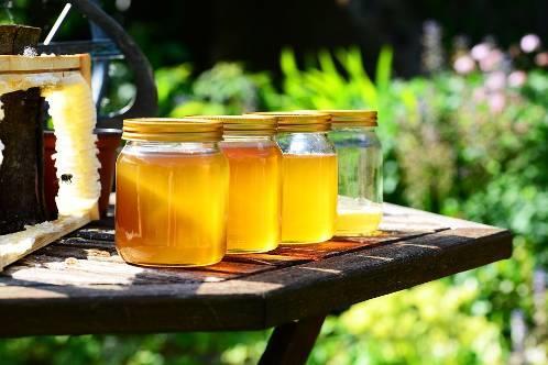 Was verrät dir das über die Bedeutung des Honigs?
