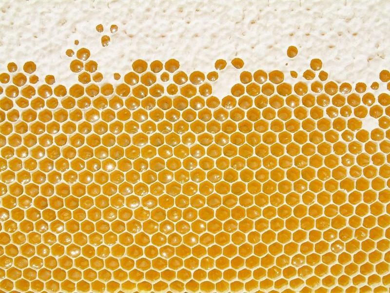 Welche Bestandteile sind im Honig? Honig ist physikalisch-chemisch gesehen eine Zuckerlösung: rund 80 % Zucker, darunter Frucht- und Traubenzucker, unter 20 % Wasser.