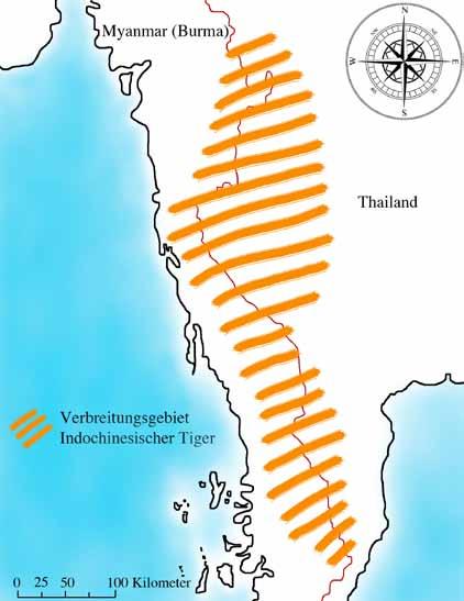 Projektgebiet: Westen Thailands, Grenzregion zu Myanmar (Burma) Bedrohungen Das Artenschutzprogramm TRAFFIC von WWF und die Weltnaturschutzunion IUCN bekämpfen den illegalen Handel mit Tigerprodukten.