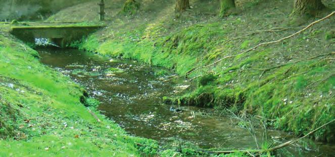 4 Kleine Chronologie unseres Wassers Die Entwicklung der Wasserversorgung in Merzig Quellgebiet im Heimlinger Tal, der»erste«herkunftsort der damaligen Wasserversorgung Merzigs.