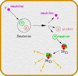 Das entstehende Neutron trifft auf in das Material eingebrachte Fremdionen z. B. 35 Cl, führt dort eine n, γ-reaktion herbei und die dabei entstandenen Gamma-Quanten lassen sich nachweisen.