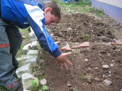 März 2006: Die Arbeit geht weiterdie ersten Pflanzen werden gesät Moritz bei der Aussaat Nachdem die Erde für die