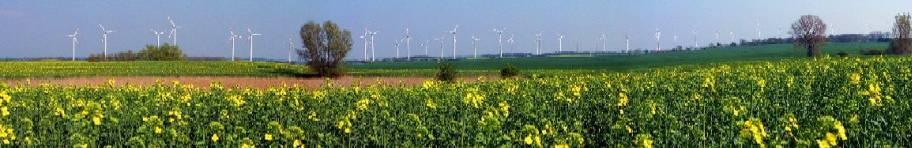 ENERTRAG ENERTRAG ist ein auf Nachhaltigkeit spezialisiertes europäisches Energieunternehmen Projektierung von Windfarmen in DE, F, BG, PL, IT, UK Errichtung und Instandhaltung von