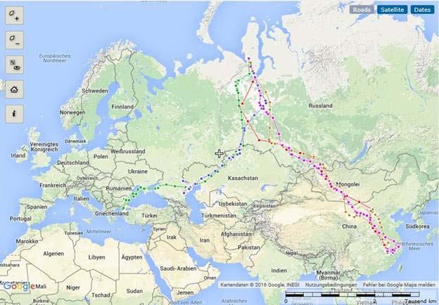 Auf der russischen Yamal-Halbinsel brütende Zwergschwäne ziehen in rund 8000 Kilometer voneinander entfernte Überwinterungsgebiete. odnature.naturalsciences.