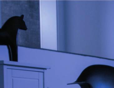 ANSMANN HOME & LIVING SERIES JAHRE GARANTIE YEARS WARRANTY 2 HOME & LIVING Die ANSMANN LED-Orientierungslichter sorgen für eine optimale Helligkeit im Dunkeln.