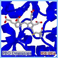 Abbildung 4: Dipyrrolmethan* Abbildung 5: Cofaktor im Enzym gebunden* *(http://www.rpi.edu/dept/bcbp/molbiochem/mbweb/mb2/part1/heme.