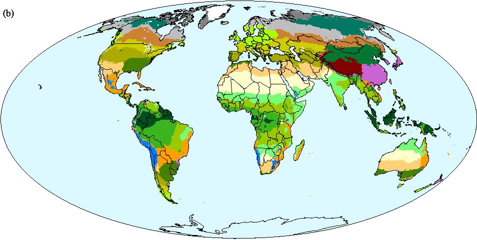 Distribution of Global