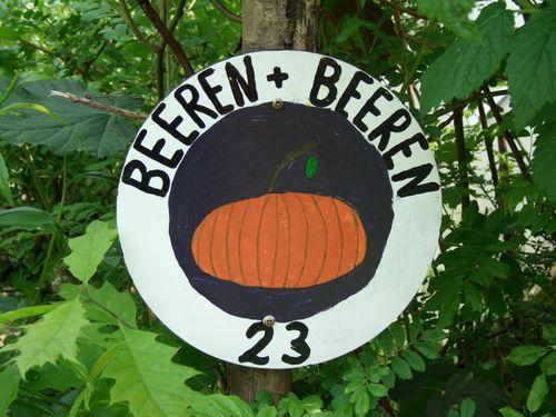 Station 23: Beeren und Beeren Was