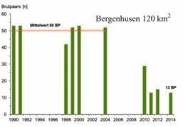 Der Brutbestand des Mäusebussards ist auf drei Teilflächen der Probefläche Schleswig (1.000 km 2 ) sehr stark zurückgegangen (2 a-c).