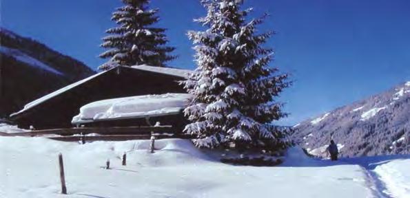 SCHWIMMEN TAUCHEN SKI TOURISTIK Abteilungsleiter: E-Mail: Wolfgang Beer Lisa Turnwald ski@tsvaltenfurt.
