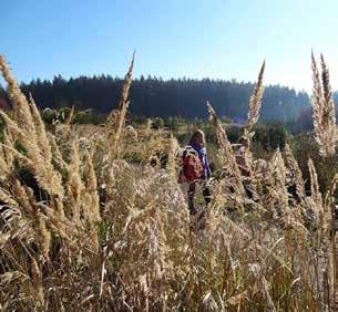 Abenteuer im Wald erleben, Survival-Tricks ausprobieren, am Reitprogramm teilnehmen, Ausflüge in die Umgebung machen und ums Lagerfeuer sitzen. 21. 25.08.