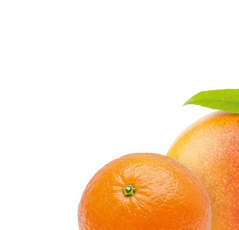 sein. Orangen werden im Obwohl Limetten norddeutschen Raum kleiner als Zitronen