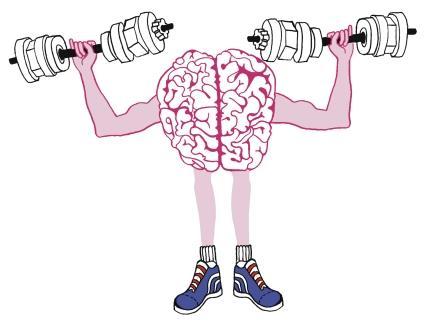 10MYTHS_GB PAGE 33 FAKT: Auch hier belegen Studienergebnisse genau das Gegenteil! Das Gehirn ist wie ein Muskel.