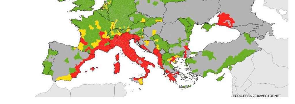 ALBOPICTUS IN EUROPA ERFOLGTE 1972 IN ALBANIEN. 1990 WURDE SIE DANN IN ITALIEN GEFUNDEN.