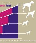 JUNIOR GROWTH 29/20 Alleinfuttermittel für die letzte Wachstumsphase von jungen Hunden Muskelaufbau Entwicklung des Immunsystems gute Verträglichkeit für die Verdauung Junghundeaufzucht ADULT