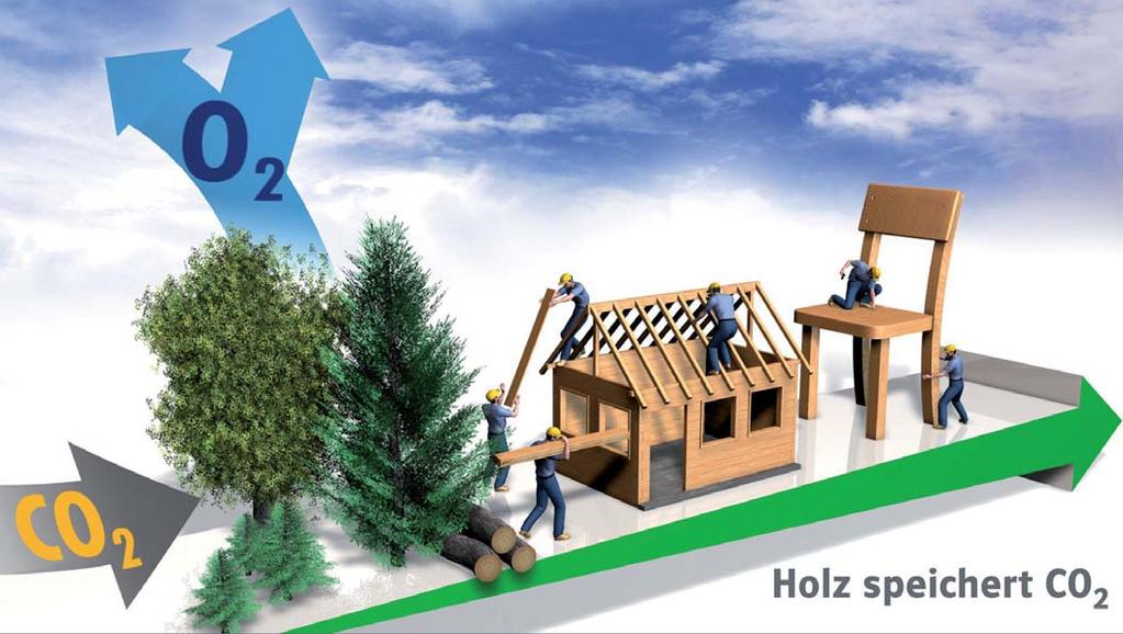 HOLZ DER WICHTIGSTE CO 2 -SPEICHER Mein Beitrag zum Klimaschutz Quelle: Holzabsatzfonds 2007 4 CO 2 -BILANZ Während seines Wachstums bindet ein Baum CO 2.