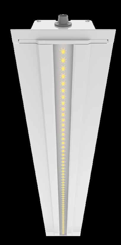 TECHNIK Ausleuchtung Individuelle Linsenoptiken bieten einen optimalen Einsatz der LED- Einbauleuchte für jede Raumhöhe.