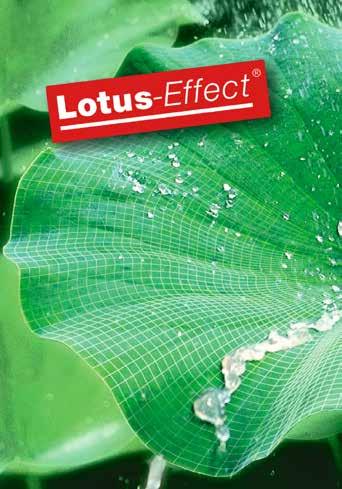 Warum das Lotusblatt als Vorbild? Das stets saubere Lotusblatt fasziniert seit jeher sowohl Wissenschaftler als auch Techniker.