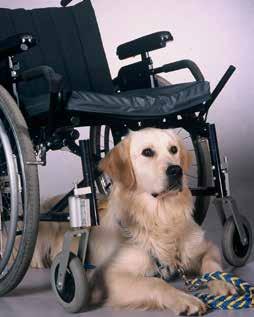 Opti Life mit einem Herz für Menschen HACHIKO VZW, MERELBEKE, BELGIEN Begleithunde für Menschen mit körperlicher Behinderung BLINDENFÜHRHUND- SCHULE GENK, BELGIEN Führhunde für sehbehinderte Menschen
