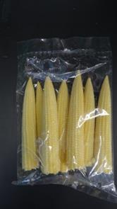 Mini-Maiskolben - 125gr Beutel Mini-Mais ist Zuckermais, der schon mit 10 cm Länge geerntet wird.