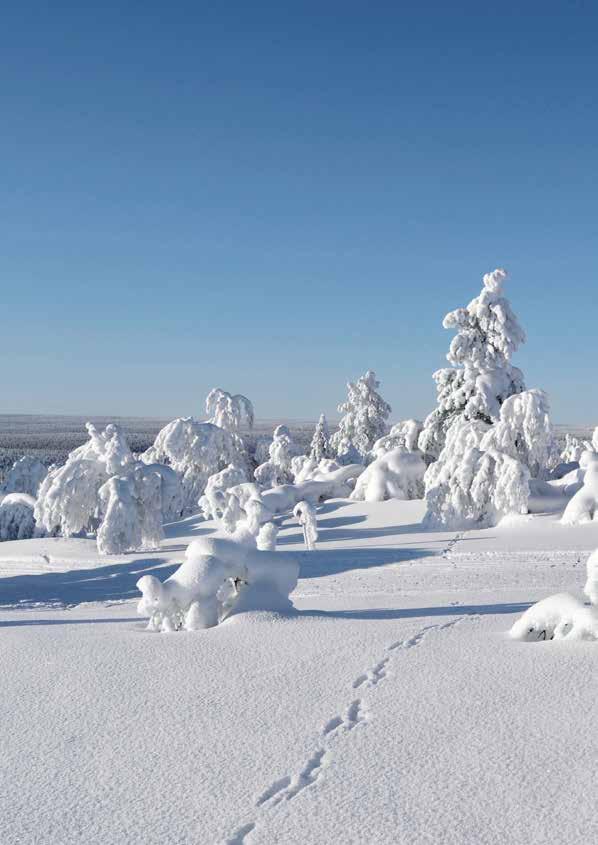 Ihr Ferienort Der bekannte Ferienort Äkäslompolo liegt umgeben von sieben Tunturis (finn. für «Erhebung») im Herzen Lapplands und ist ein Mekka für aktive Leute.