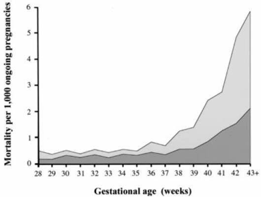 Perinatale Mortalität - Kontinuierlich ansteigendes Risiko ab 38+0 SSW - Erhöhte Morbidität in der neonatalen Periode führt zu