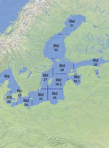 Sub-Fanggebiete von FAO 27 Einteilung durch den Internationalen Rat für Meeresforschung (ICES) IIa: Norwegische See IIIa: Skagerrak/Kattegat IIIb d (22 24): Westliche Ostsee