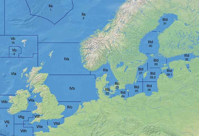 Sub-Fanggebiete von FAO 27 Einteilung durch den Internationalen Rat für Meeresforschung (ICES) IIa: Norwegische See IIIa: Skagerrak/Kattegat IIIb d (22 24): Westliche Ostsee