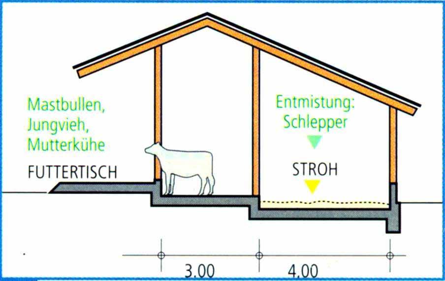 Laufstall Zweiraum -Tiefstreu Quelle: top