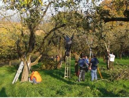 10. Hilfe zur Selbsthilfe Kurse: naturschutzgerechter Obstbaumschnitt Geräteverleih Tiroler Steigtanne Hochentaster