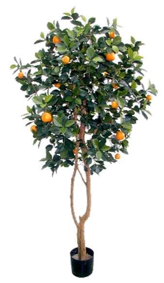 15.1 Orangenbäume künstlich Format: