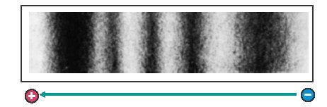 Druckes (25 mmhg) Pufferfunktion Schutz vor Blutverlust Abwehrfunktion