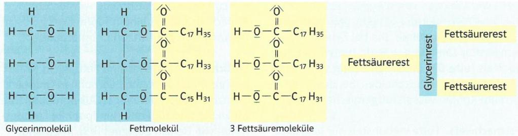 FETTE UND ÖLE Allgemeines Fette und Öle sind chemisch gesehen gemischte Fettsäureglycerinester.