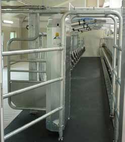 (Option) Luftdruckgesteuerte Indexfunktion - Die Kühe werden in einer komfortablen Haltung sanft zur Grubenkante gedrückt.